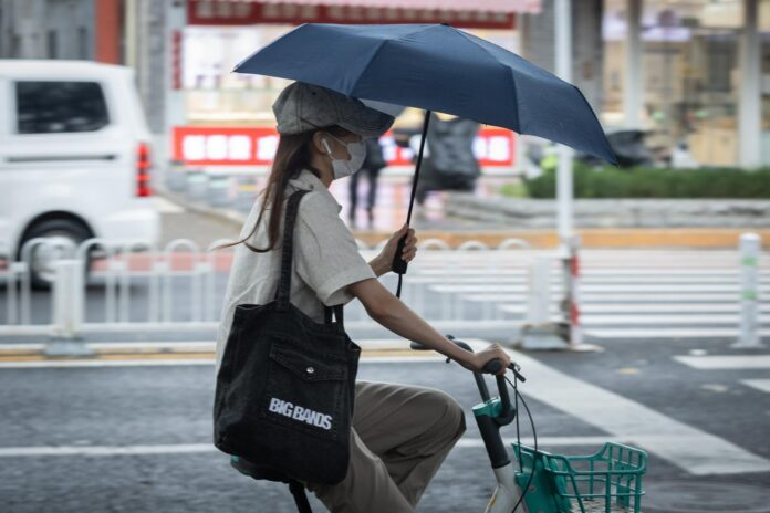 El Niño causará una de las peores temporadas de tifones del Pacífico, según estudio El Niño causará una de las peores temporadas de tifones del Pacífico, según estudio