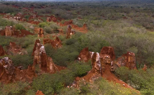 República Dominicana prevé declarar sus primeras reservas de tierras raras en 2027 República Dominicana prevé declarar sus primeras reservas de tierras raras en 2027