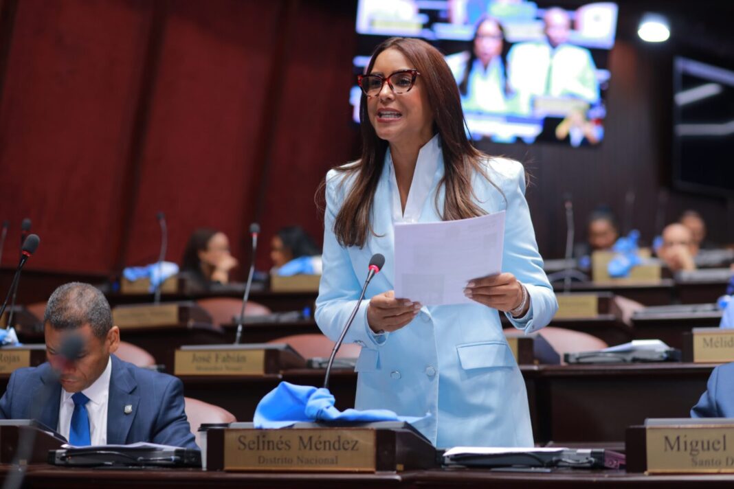 Selinée Méndez exige al MINERD informe sobre planteles pendientes y resultados de su plataforma digital_ Selinée Méndez exige al MINERD informe sobre planteles pendientes y resultados de su plataforma digital_