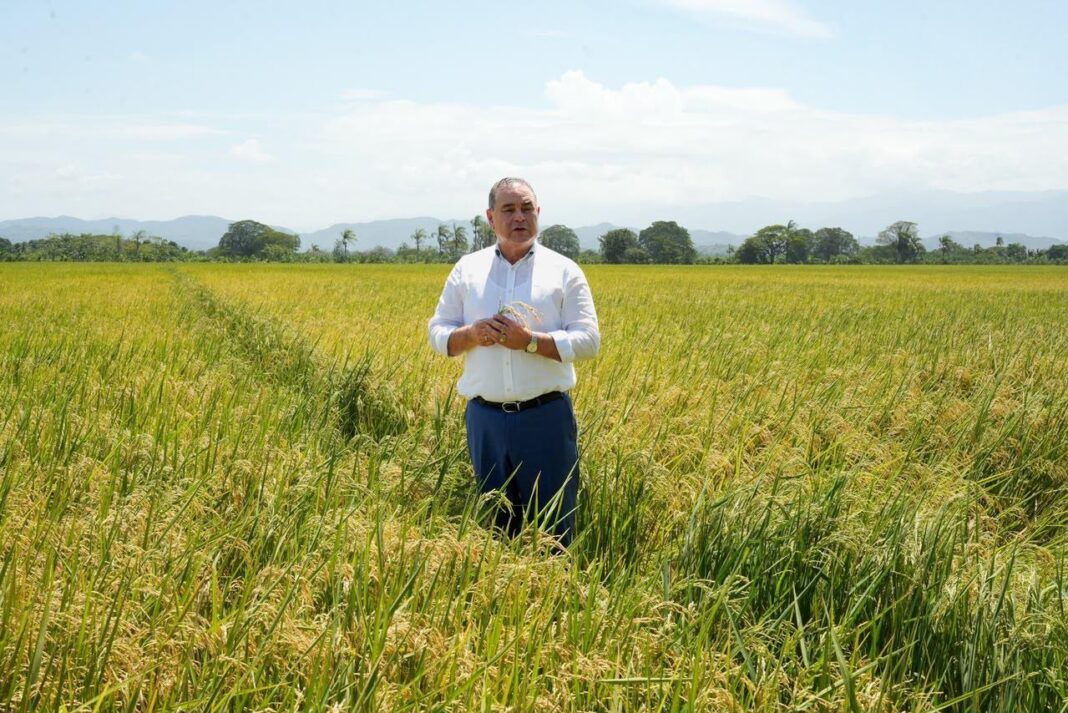 Video confirma postura del ministro de Agricultura sobre polémica por supuesta dispensa al sector arrocero Video confirma postura del ministro de Agricultura sobre polémica por supuesta dispensa al sector arrocero